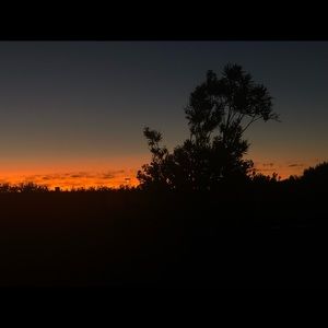 Meet your Posher, Bonina